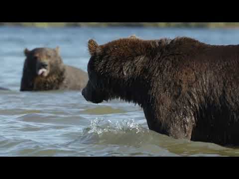 Wild Edens: Russia - Official Trailer