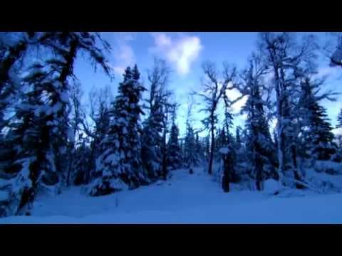 Ice Cold Killers - Season 3 showing in August