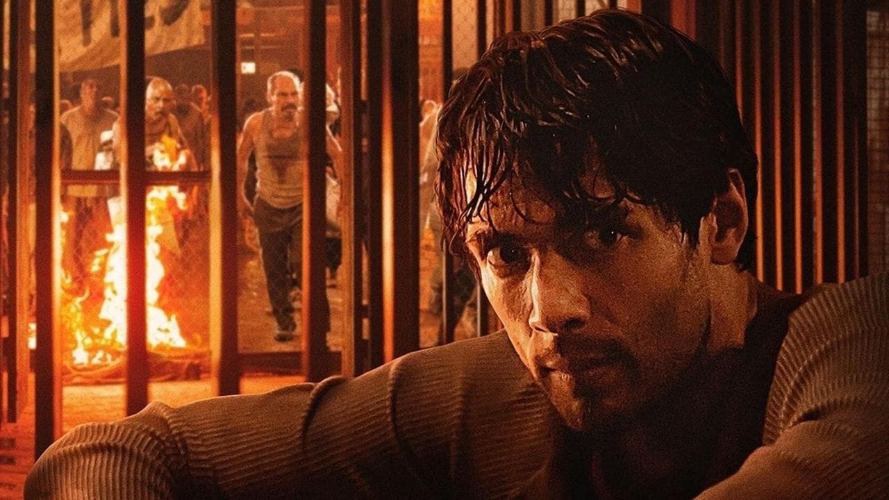 الزنزانة 211