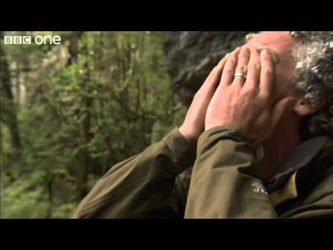 Gordon Gets Emotional After Incredible Discovery - Lost Land Of The Tiger, Episode 3 - BBC One